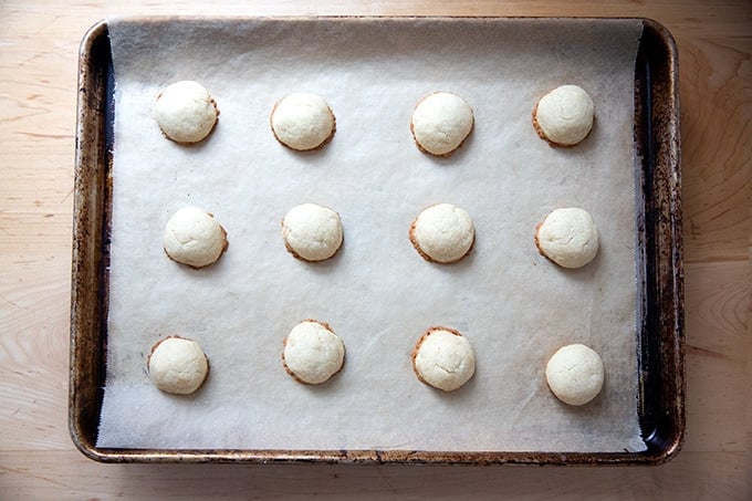 Just-baked lemon-almond snowball cookies. 