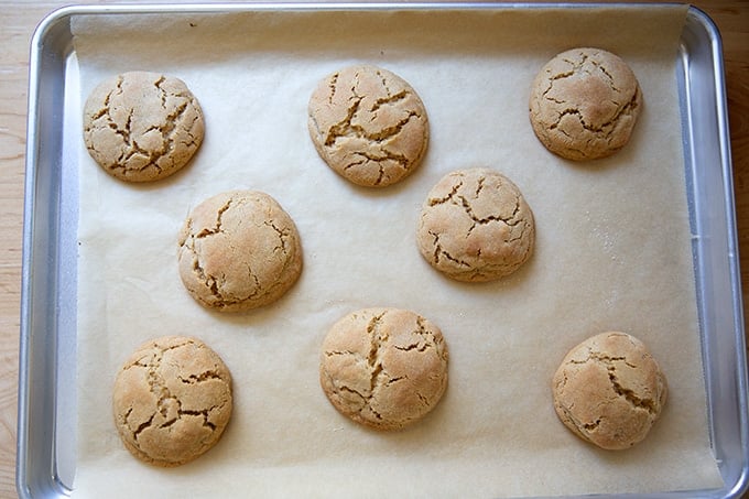 Just-baked peanut butter cookies on a sheet pan.
