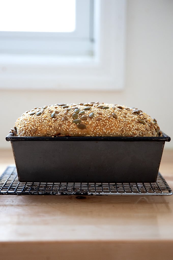 Just-baked three seed bread in a loaf pan.