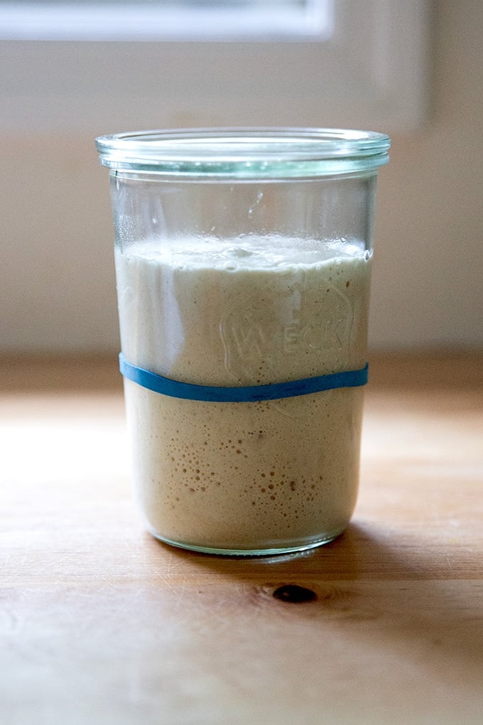 A Weck jar holding sourdough starter doubled in volume.