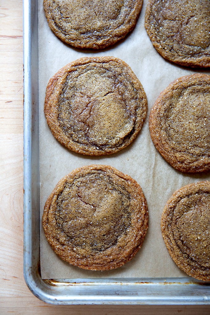 Just-baked gingersnap cookies on a sheet pan.
