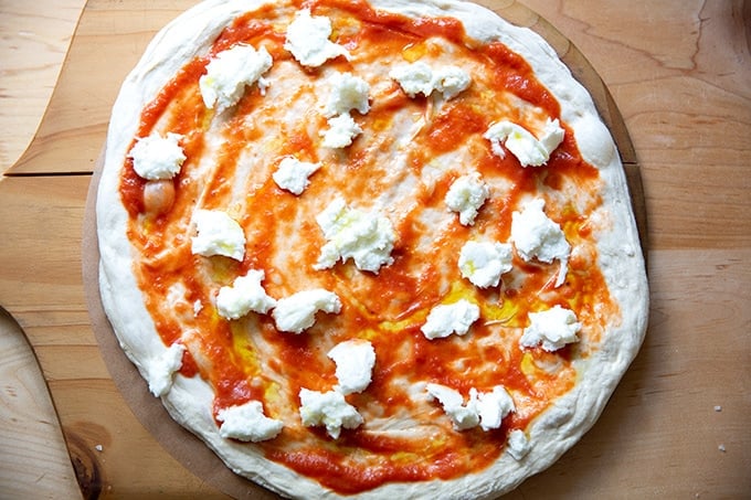 An unbaked Margherita pizza on a pizza peel lined with a parchment paper round.