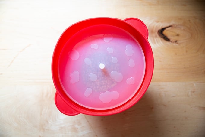 A silicon popcorn maker on a countertop.