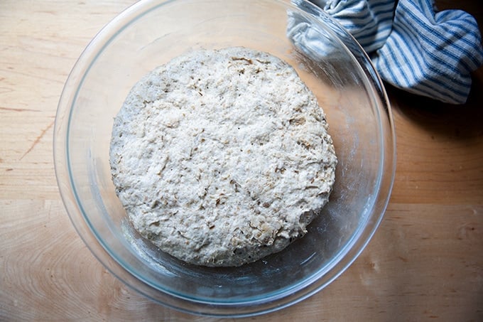 A bowl of risen rye bread dough.