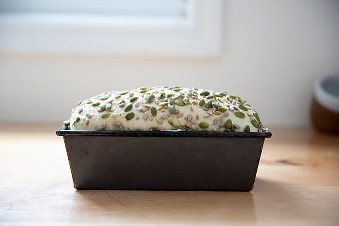 Three seed bread dough rising in a loaf pan.