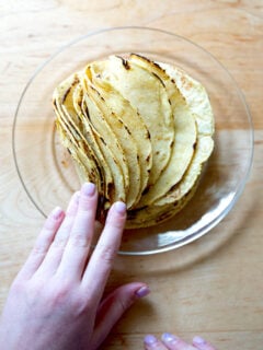 A stack of soft corn tortillas, fanned out on a plate.
