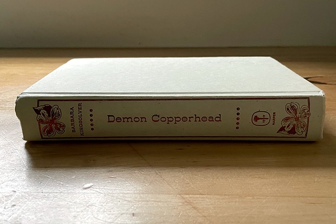 Demon Copperhead, a book. 