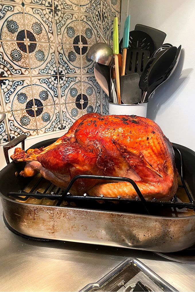 Dry-brined and roasted turkey.