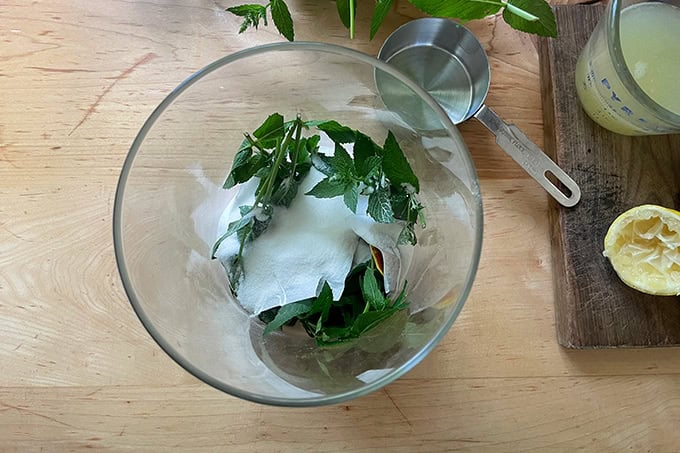 A large vessel filled with mint, sugar, and tea bags.
