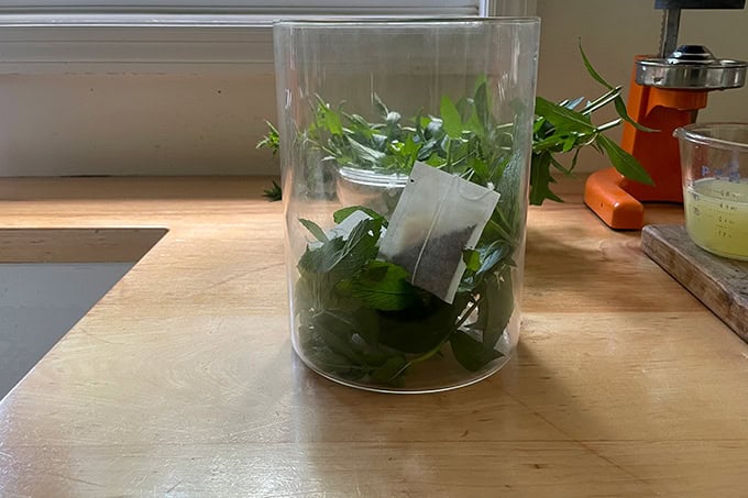 A large vessel filled with mint and tea bags.