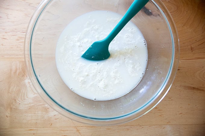 A bowl of water, yeast, salt, honey, and sourdough discard stirred together.