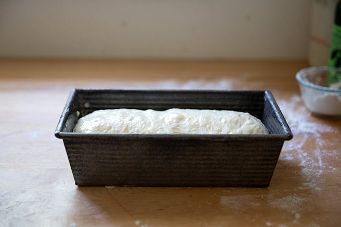A 9x5-inch loaf pan holding sourdough discard toasting bread dough, ready to make its final rise.