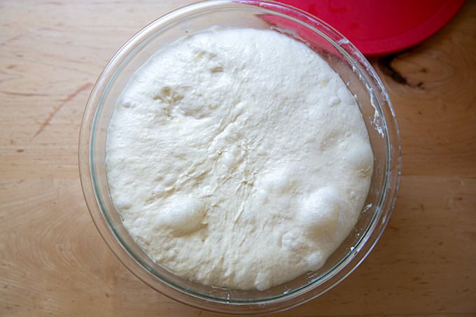 A large bowl of risen sourdough discard toasting bread dough.