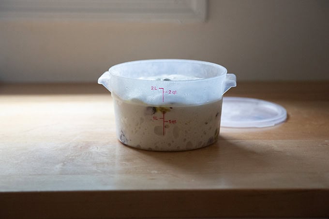 A two-quart dough storage container filled with rosemary-olive sourdough dough. - 37