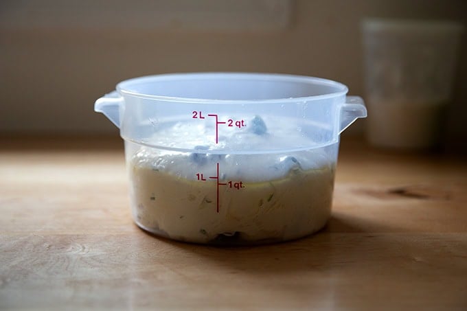 A two-quart dough storage container filled with rosemary-olive sourdough dough. - 36