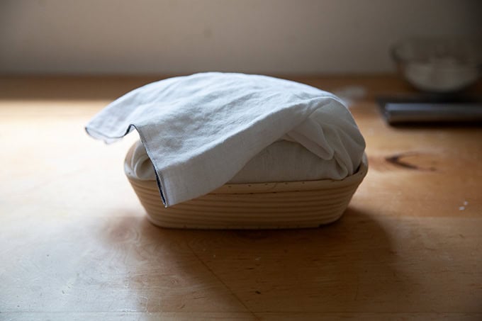 An unbaked loaf of rosemary-olive sourdough in a tea-towel lined banneton. - 43