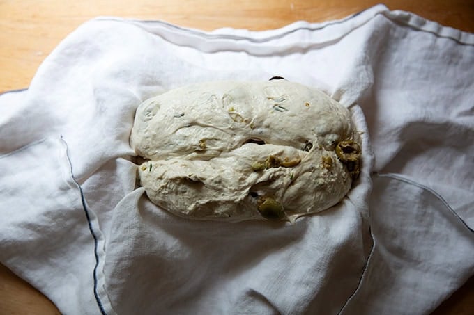 An unbaked loaf of rosemary-olive sourdough bread in a tea towel-lined banneton. - 42