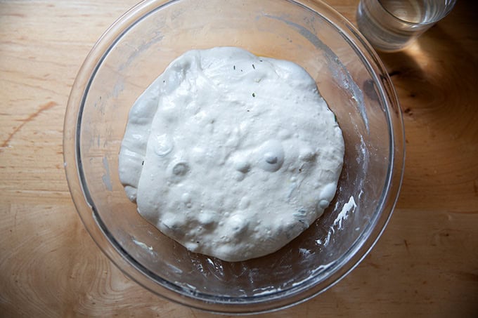 A large bowl of rosemary olive sourdough dough one hour after the olives were incorporated into the dough. - 35