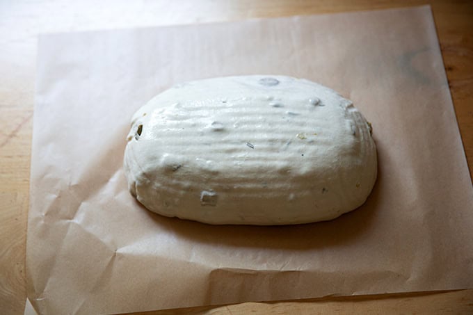 An unbaked loaf of rosemary-olive sourdough on a sheet of parchment paper, ready to be scored and baked. - 46