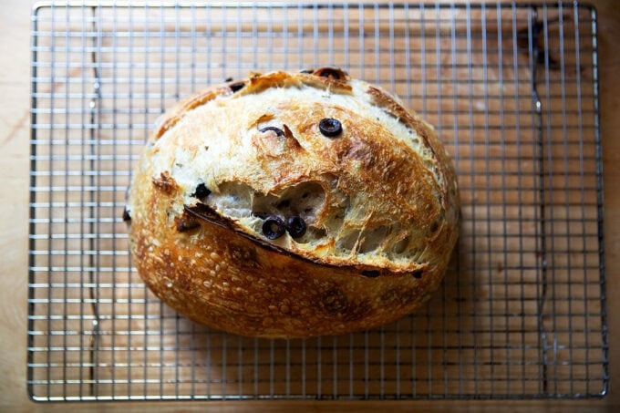 A freshly baked loaf of rosemary-olive sourdough bread on a cooling rack. - 49