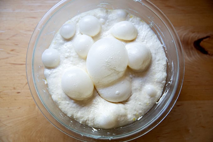 Focaccia dough after 2-days in the fridge. - 22