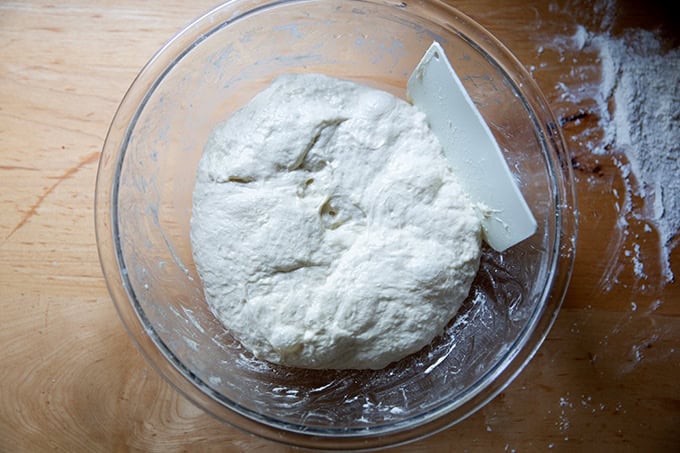 Grandma-style pizza dough deflated after a 10-hour rise.