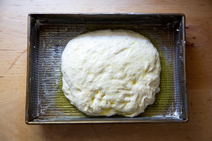 Focaccia dough, after 2 nights in the fridge, in a 9x13-inch pan ready to rise. - 25