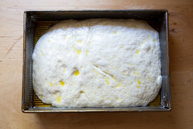 Focaccia dough in pan after 1.5 hours of rising. - 26