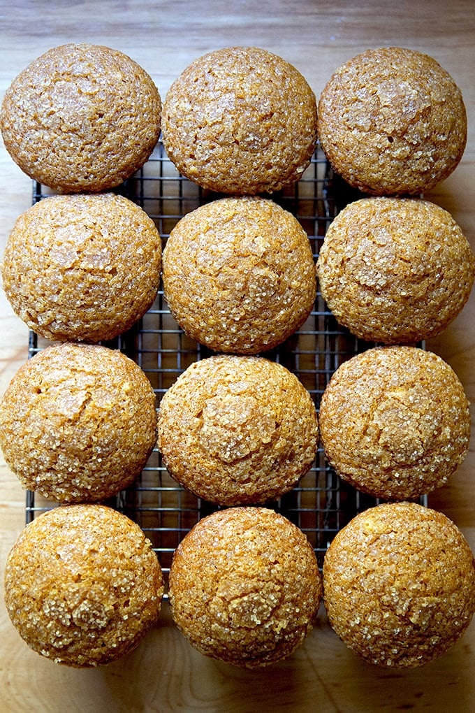 اثنتا عشرة قطعة من فطائر اليقطين المخبوزة الطازجة على رف التبريد.