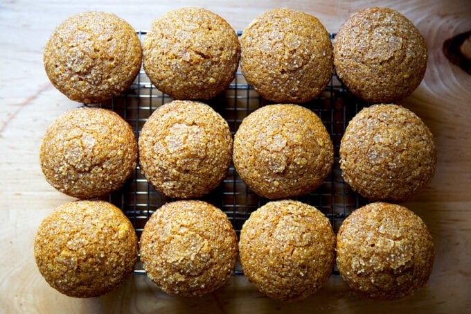 فطائر اليقطين المخبوزة الطازجة على رف التبريد.