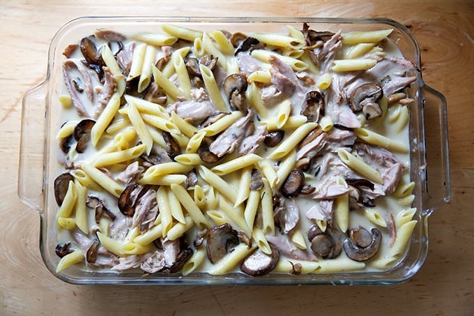 A 9x13-inch pan filled with pasta, sautéed mushrooms, leftover cooked turkey, and gravy/bechamel sauce. - 51