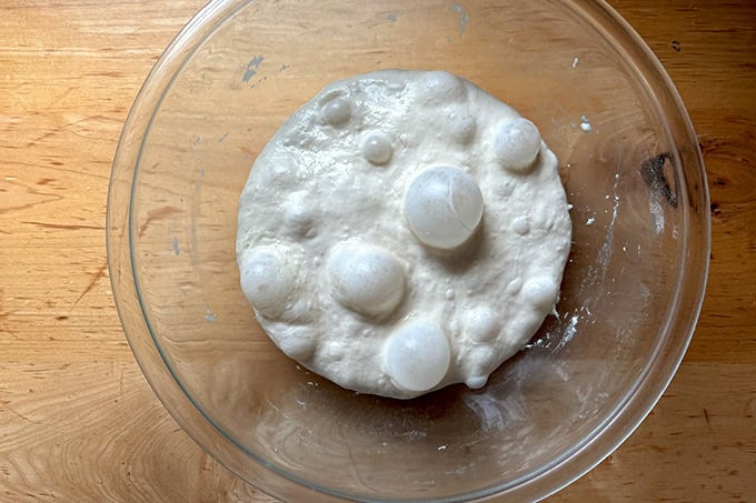 Giant sandwich roll dough, after an overnight rise, its surface nice and bubbly.