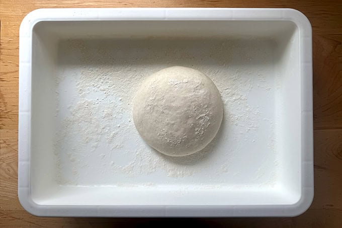 Balled up sandwich roll dough in a floured DoughMate.
