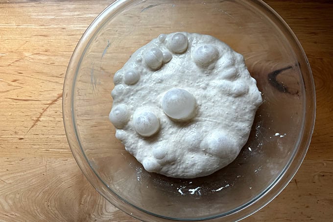 Monkey bread dough, risen. - 66