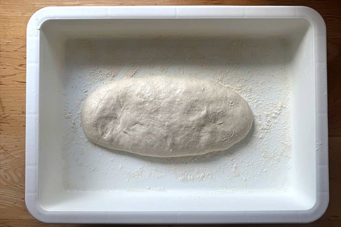 Proofed sandwich roll dough stretched into a log in a lightly floured DoughMate.