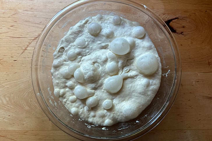 The dough to make Overnight Sandwich Rolls fully risen, its surface covered with bubbles.